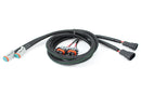 Fog Light Wiring H11 to Deutsch/ H11 Dual Adapter - Set-1