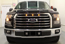 Ford F-150 Raptor Style Grille Light Kit (2015-2017)-5