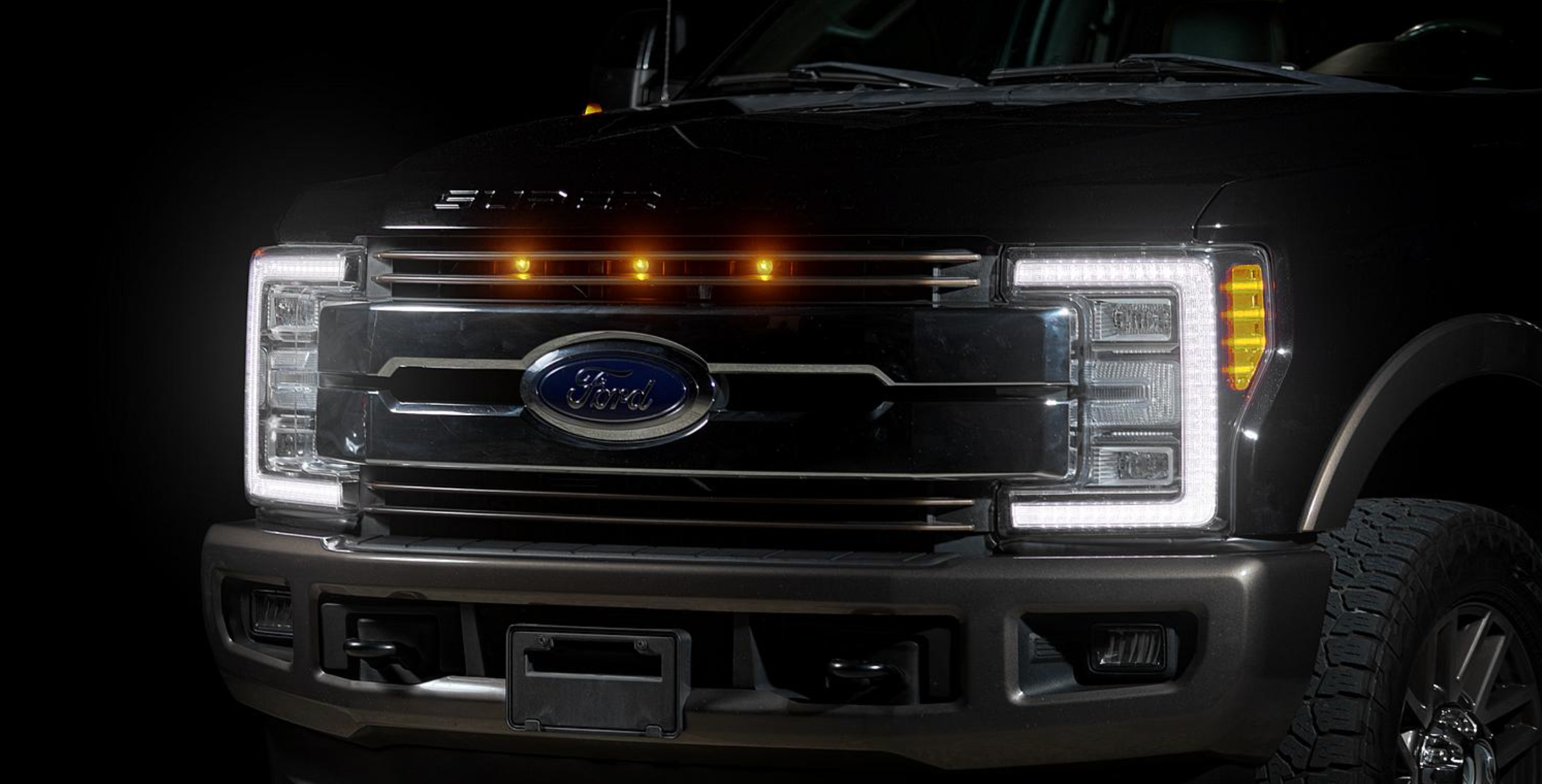 RAPTOR-STYLE LIGHTING