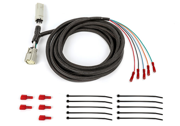 Ford Bronco Tail Light Adapter (2021-2025)